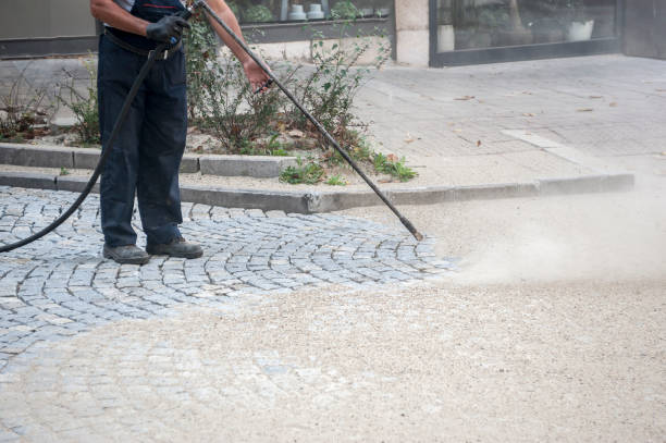 Best Roof Cleaning and Mildew Removal in Cooperstown, NY